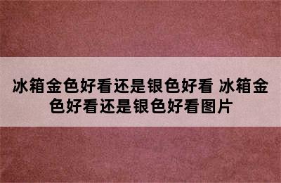 冰箱金色好看还是银色好看 冰箱金色好看还是银色好看图片